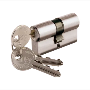 Cilindro Para Puerta Europerfil Cisa con 3 Llaves 70mm